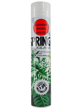 Schutz und Glanzmittel Spring Blattglanz 750 ml