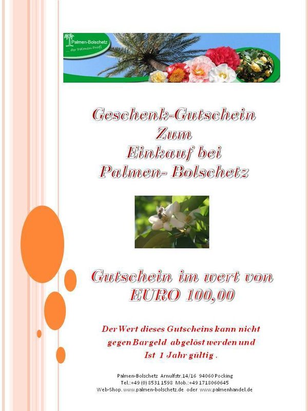 Gutschein zum Einkauf bei Palmen-Bolschetz im Wert von EURO  100,00