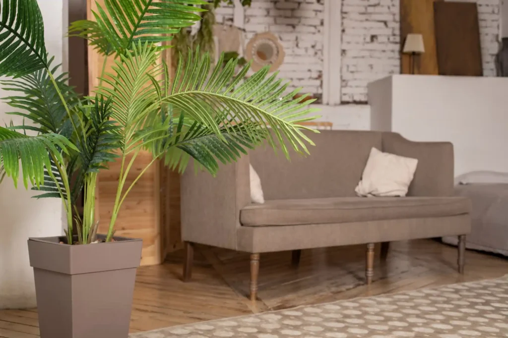 Große grüne Zimmerpflanze im modernen Wohnzimmer sorgt für natürliche Wohnatmosphäre und nachhaltige Raumgestaltung