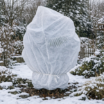 Winterharte Palmen im verschneiten Garten mit Winterschutz
