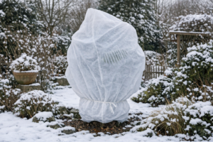 Winterharte Palmen im verschneiten Garten mit Winterschutz
